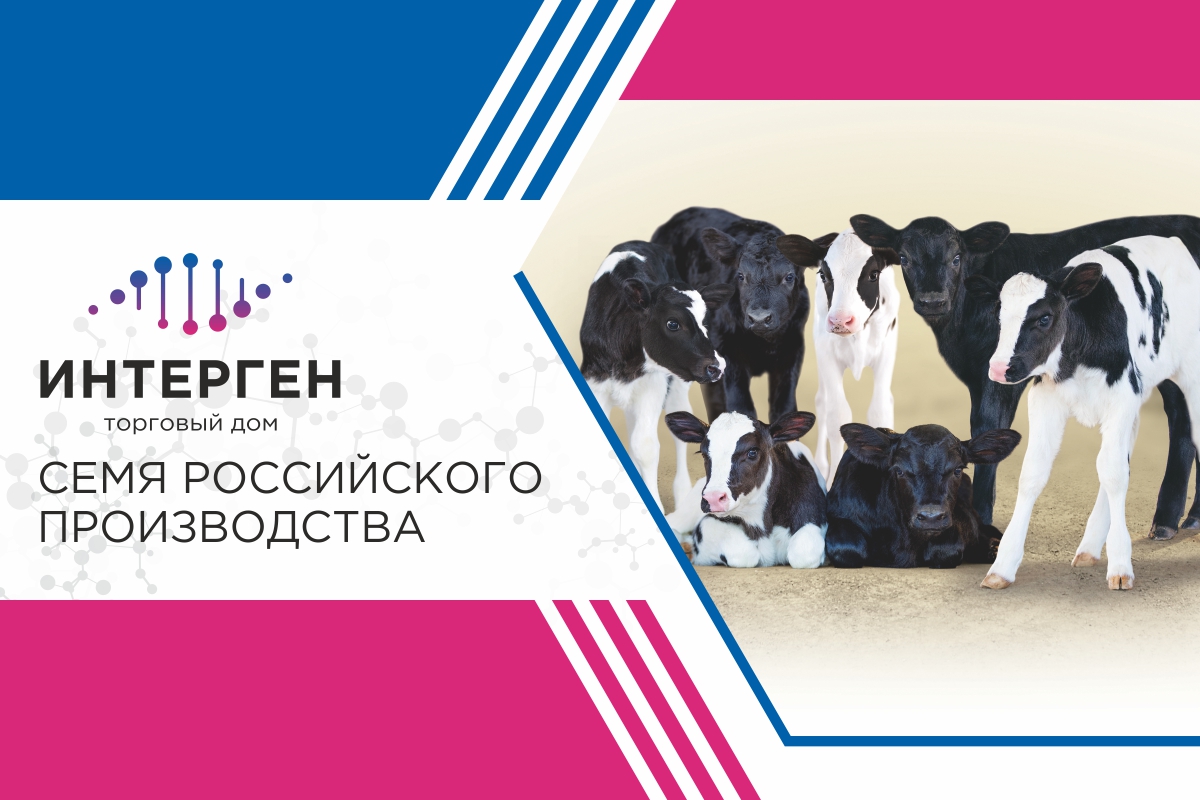 Trade House Intergen Llc.